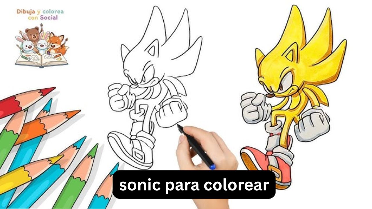 sonic para colorear
